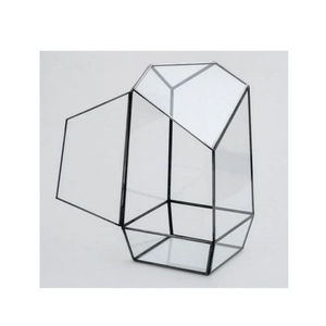 NewHigh Quality Glass Terrarium or Geometric Shape Glass <b>Vases</b> for Plants in Custom Sizes and Design for Living Room Decoration - Product Image 1