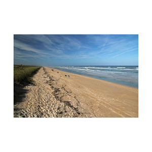 À des prix compétitifs pour les grosses commandes Obtenez Beech Long à des fins d'artisanat et de construction disponibles à la vente à un prix abordable - Product Image 1