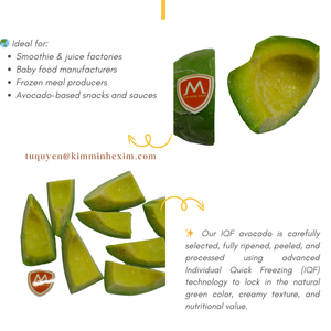 Proveedor de aguacate congelado IQF a granel de Vietnam a granel para batidos y servicio de alimentos - Product Image 5