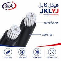 Cable Aéreo Aislado con Conductor de Aluminio JKLYJ 0.6/1kV, Cable ABC para Distribución de Energía Aérea, Cable de Alimentación con Aislamiento de PVC