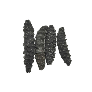 Concombre de mer frais récolté de manière durable avec un traitement hygiénique et une chaîne de froid fiable - Product Image 6