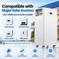Batterie de stockage d'énergie domestique Avepower 51,2 V LiFePO4 10-16 kWh 200-314 Ah avec BMS intelligent, solaire, ESS, OEM, ODM, vente en gros