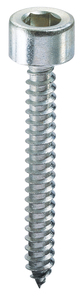 Vite Autofilettante TC con Esagono Incassato mm 5,5x32 - Product Image 2