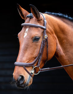 Brida de cuero de filete de caballo de alta calidad en cuero genuino marrón FABRICANTE de brida de caballo de buena calidad - Product Image 3