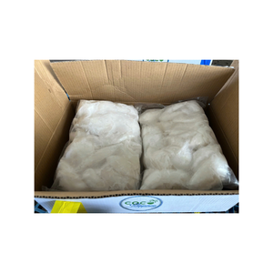 Trozos de coco congelados de primera calidad, frutas tropicales naturales de alta calidad, perfectos para batidos, postres, aperitivos, grado de exportación - Product Image 2