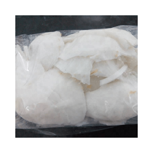 Carne de coco congelada/Carne de coco joven entera/en rodajas/cubo triangular/Carne de coco joven congelada IQF tierna con buen precio - Product Image 3