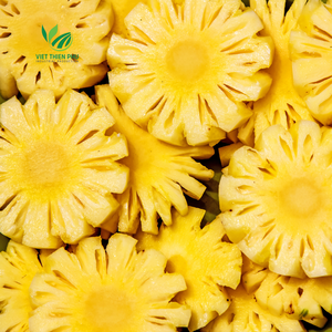 Piña congelada IQF orgánica certificada ISO de Vietnam, conservada en agua envasada a granel - Product Image 4