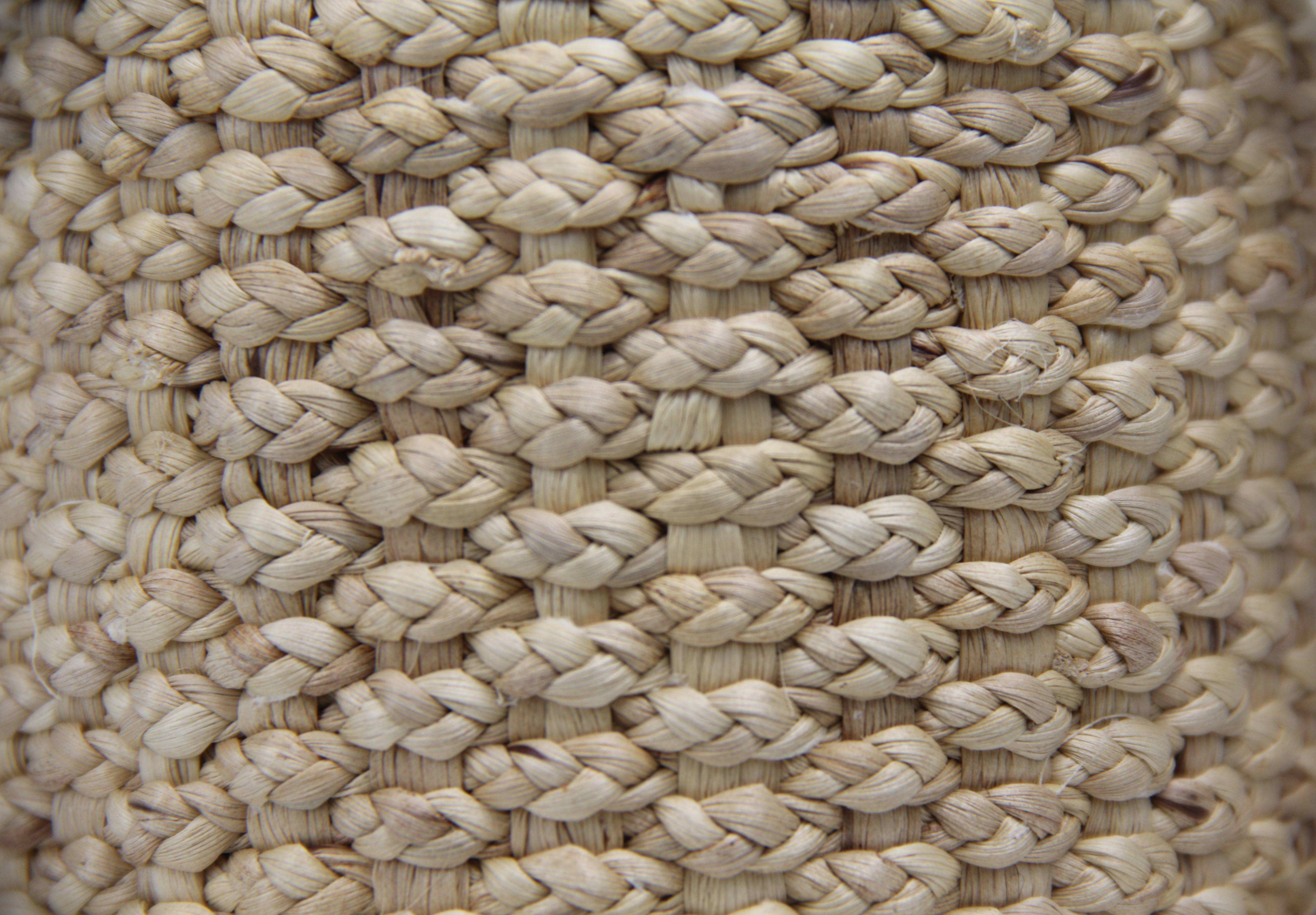 ธรรมชาติ