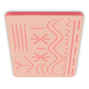 Herramientas de enseñanza de anatomía médica duraderas al por mayor, almohadillas de práctica de sutura para estudiantes de medicina, certificado CE, aprobado por ISO - Product Image 4