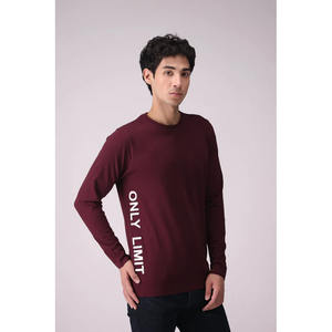 T-shirt à manches longues surdimensionné personnalisé 300 GSM pour hommes 100% coton Street Wear T-shirt surdimensionné en coton pour hommes - Product Image 6