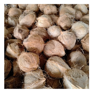 Coco semidescascarillado de grado de exportación, suministro directo de coco maduro fresco de Vietnam, Coco maduro fresco Ideal para dulces de Coco Dulce - Product Image 4