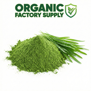 Polvo de hierba de cebada orgánica, clorofila, antioxidante herbal, suplemento nutricional de belleza, fibra dietética soluble en agua, grado alimenticio - Product Image 1