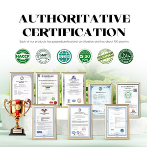 Suplemento Alimenticio de Algas Marinas Concentradas OEM, Refuerzo Inmunológico, Apoyo al Sistema Digestivo, Gotas de Algas Marinas para Adultos - Product Image 6