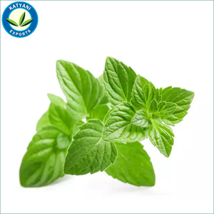 Huile 100% naturelle et pure de Mentha Arvensis du fournisseur indien avec une qualité supérieure au meilleur prix pour les utilisations cosmétiques de qualité supérieure - Product Image 4