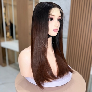 Meilleure qualité 100% perruque de cheveux humains vietnamiens Ombre couleur dentelle avant perruques cheveux vierges - Product Image 2