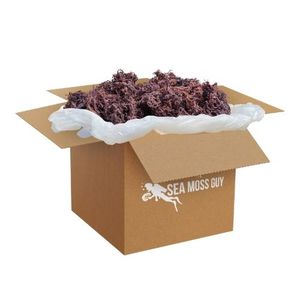 GCAP Sea Moss-Musgo irlandés-Seamoss Raw Organic-Dry Sea Moss - Natural Wildcrafted Seamoss - Product Image 3
