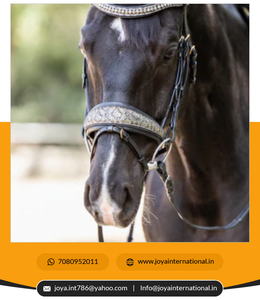 High Quality <b>Dressage</b> Bridles Anatomical <b>Dressage</b> Bridle First Edition Fleur Snaffle Bridle - Product Image 3