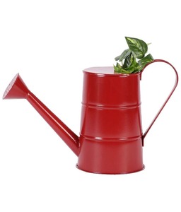 Arrosoir en métal de couleur bleu ciel avec poignée Durable pour l'entretien des plantes de jardinage Utilisation d'arrosage de jardin intérieur et extérieur - Product Image 2