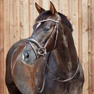 แฟนซีโชว์กระดุม - สีน้ําตาลเข้มแบบพกพาหรูหราพรีเมี่ยมคลาสสิกดูแฟชั่นสมาร์ทข้อเหวี่ยงเชือกแขวนคอหัวน่องคอมโบพร้อมเชือกแขวนคอ - Product Image 6