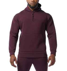 Sweat à capuche en coton pour hommes Sweat à capuche bio en éponge pour hommes - Product Image 4