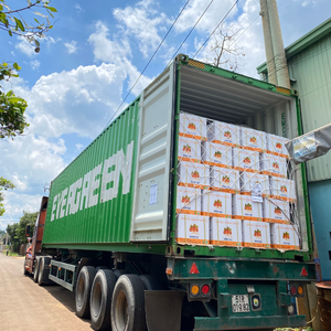ถั่วเม็ดมะม่วงหิมพานต์จากโรงงานใน W180ซันติโกเวียดนาม W240 W320ความต้องการของลูกค้า OEM - Product Image 5