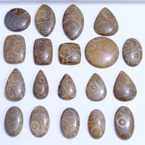 100% Natural Fossil <b>Coral</b> Loose Gemstone Mix Shape and Size Fossil <b>Coral</b> Cabochon Loose Gemstones Lot for Use Jewelry Making - Product Image 3