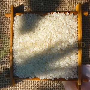 ข้าวญี่ปุ่นบาสมาติกแห้งออร์แกนิคจากเวียดนาม - Product Image 4