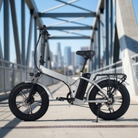 Moto électrique tout-terrain pour la chasse, vente en gros, 20 pouces