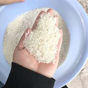 2025นูโวลล์ reclolte ข้าวหอมมะลิเมล็ดยาวริซเวียดนามส่งออกเนื้อแข็ง5451 variete 5% Riz En gros/anna DO vilaconic - Product Image 4