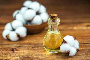 Huile de transporteur de graines de coton pur 100% Vente en gros d'huile de transporteur de graines de coton en vrac Huile de transporteur de graines de coton naturelle et pure - Product Image 2