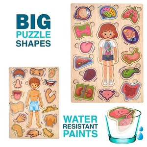 Casse-tête d'anatomie humaine en bois multicouche Jouet éducatif STEM pour enfants et adultes Jeu d'apprentissage en gros des systèmes d'organes et du corps - Product Image 6