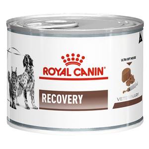 Nourriture sèche pour chiens adultes de taille moyenne Royal Canin avec des caractéristiques de chaton pour chiens Poissons Acheter des friandises pour chats Royal Canin Commander en gros - Product Image 1
