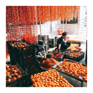 Authentique kaki séché du Vietnam avec une saveur douce et une texture douce, qualité d'exportation supérieure, idéal pour la marque OEM et le marché de détail - Product Image 1