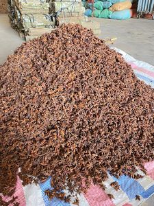 Tu Quy anís mezclado Vietnam especias primavera otoño estrella hierba semilla flor seca pieza patrón Natural Ad secado certificado HACCP - Product Image 4