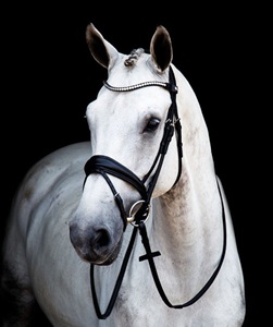 2019 Magic Tack Switch Bridle Haute Qualité En Cuir Véritable Western Horse Bridle avec Snaffle Authentique et Durable - Product Image 1