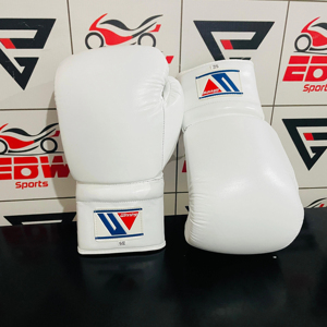 Guantes de boxeo ganadores | Producto ganador 2025 | Conjunto de boxeo profesional | OEM ODM personalizado disponible - Product Image 1