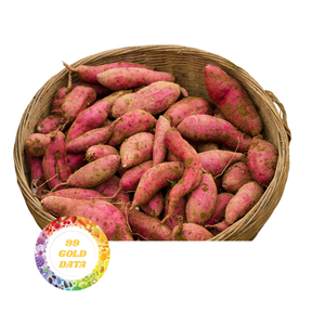 Patates douces biologiques de haute qualité, fraîches, délicieusement nutritives, cultivées de manière durable directement du Vietnam - Product Image 1