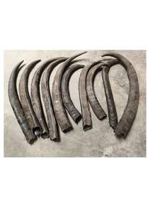 Punta de Cuerno de Búfalo Natural - Diseño Moderno Hecho a Mano Ecológico, Tamaño y Forma Personalizados, Color Natural para Decoraciones de Bodas y Festividades - Product Image 2