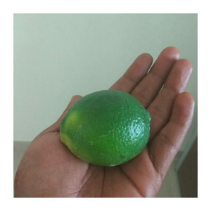 Citron vert frais de qualité d'exportation/citron du Vietnam sans pépins/goût aigre 100% naturel et agrumes frais verts - Product Image 5