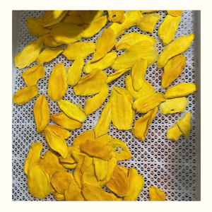 Mangue molle séchée du Vietnam de qualité supérieure au goût sucré naturel, mangue molle séchée pour les collations, les desserts, les boissons et les exportations - Product Image 1