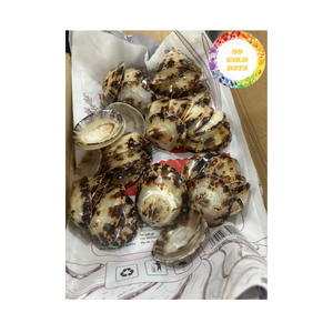 เปลือกหอยธรรมชาติจากเวียดนามสำหรับงานฝีมือตกแต่งบ้านและโครงการทำเครื่องประดับ - Product Image 4