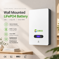 Sistema de Batería de Litio para Energía Solar de 51.2V, LiFePO4, Protección Inteligente BMS, 5KWH 10Kwh, Montaje en Pared, Almacenamiento de Energía Residencial