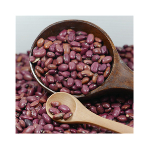 Haricots rouges foncés et violets biologiques de haute qualité Vente en gros Meilleur nouvel emballage en vrac Prix bon marché - Product Image 4