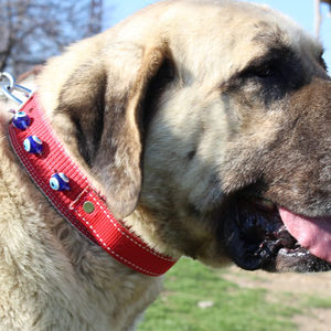 Rojo nuevo Collar de perro grande táctico de alta resistencia con mango Hebilla giratoria de metal irrompible Arneses para mascotas Collar de perro - Product Image 1