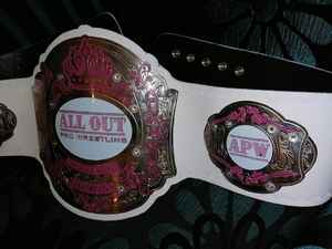 Cinturones de campeonato Trofeos Medallas y premios el símbolo definitivo de Victoria y excelencia Cinturones de Campeonato - Product Image 3