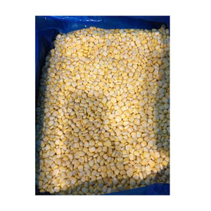 Mazorcas de maíz entero congeladas a la máxima frescura, empaquetadas de forma segura para la exportación, adecuadas para todo tipo de aplicaciones culinarias - Product Image 2