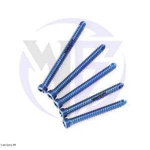 4 Piezas de Tornillos de Bloqueo de Titanio Stardrive de 2.4 mm, Implantes Óseos Ortopédicos Veterinarios, Instrumentos Quirúrgicos para Perros y Gatos - Product Image 3