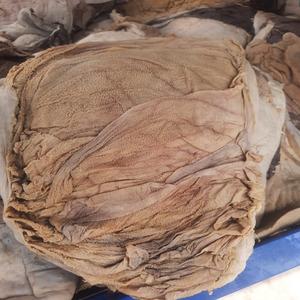 Top Quality <b>Beef</b> Frozen Omasum Wholesale Salted <b>Beef</b> Omasum - Scalded Omasum Tripe for Sale - Product Image 4