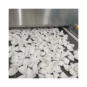 La carne de coco joven congelada Premium de exportación sigue siendo de buen sabor natural con precio barato y alta calidad - Product Image 5