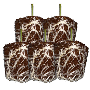 Hochwertige Coco Peat Coir Boden Seeding Plug Starter Schwämme für die Vermehrung Transplantation Hausgarten 50 Stück Tablett - Product Image 5